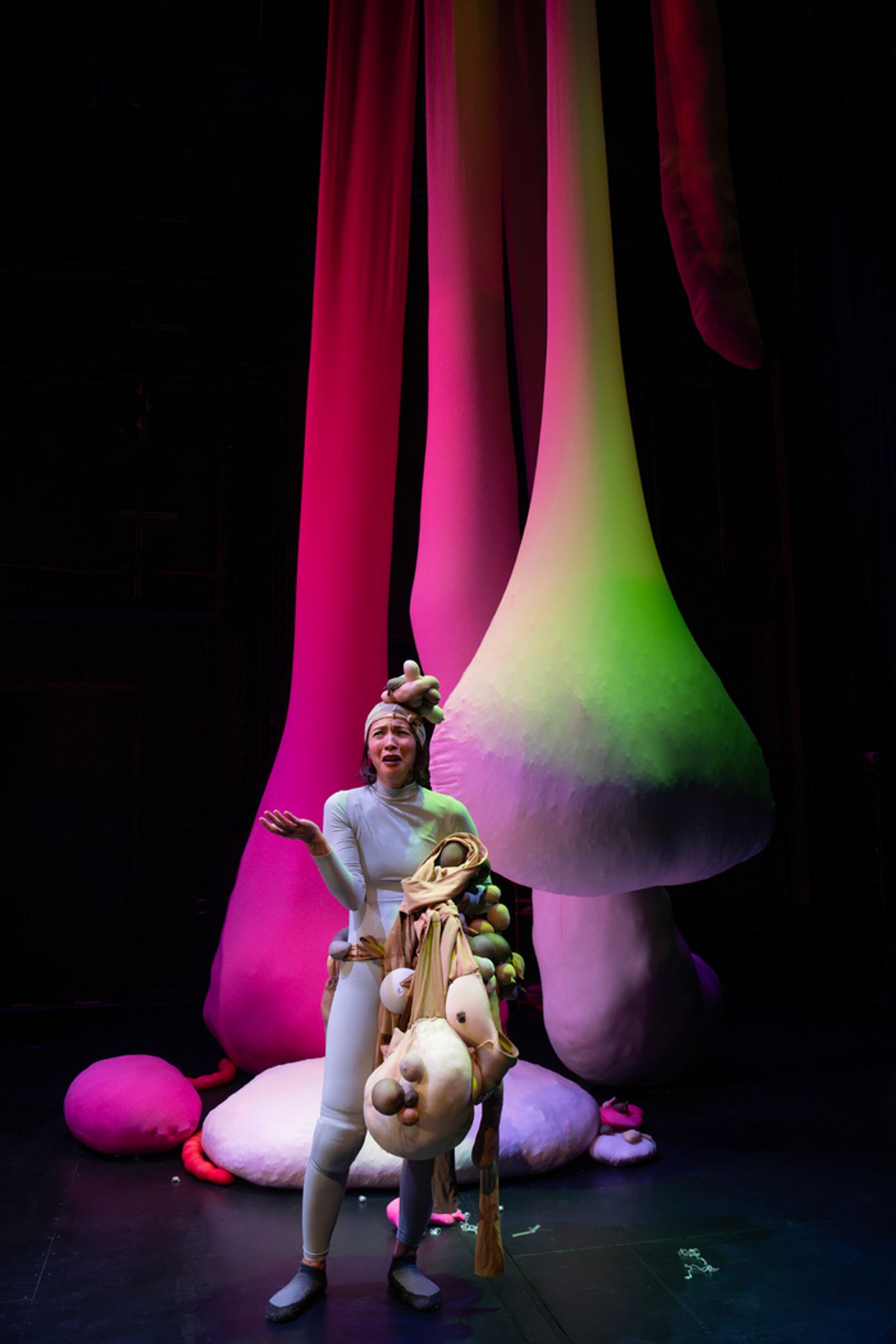 Photos: MEAT SUIT, OR THE SHITSHOW OF MOTHERHOOD At Signature Theatre  Image