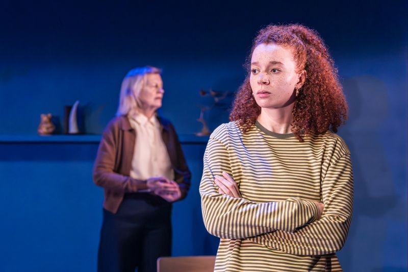 Review: EVENING ALL AFTERNOON, Donmar Warehouse Image