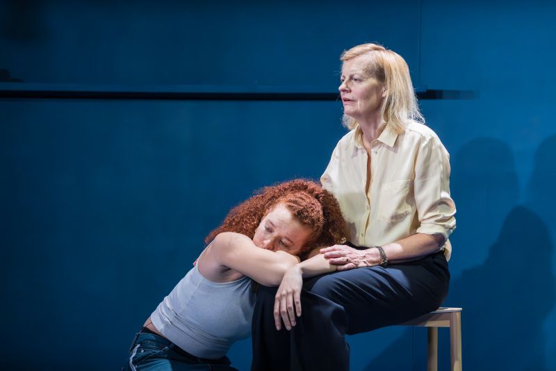 Review: EVENING ALL AFTERNOON, Donmar Warehouse Image