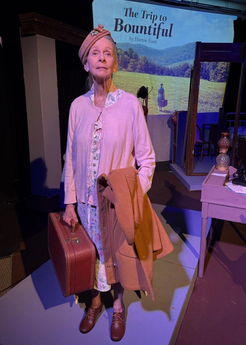 Review: THE TRIP TO BOUNTIFUL at City Theatre Austin Image