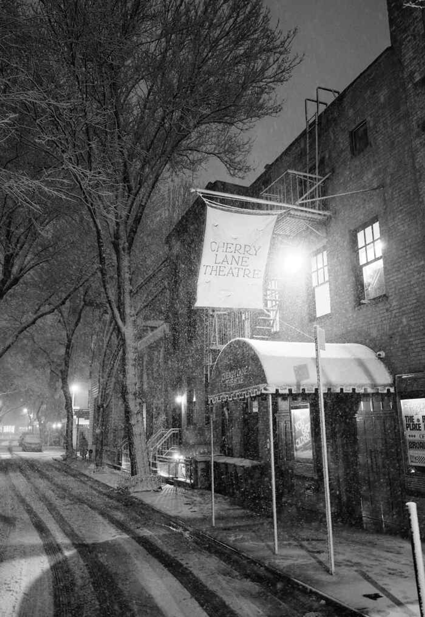 Photos: The Company of YOU GOT OLDER Celebrates Opening Night at Cherry Lane Theatre  Image