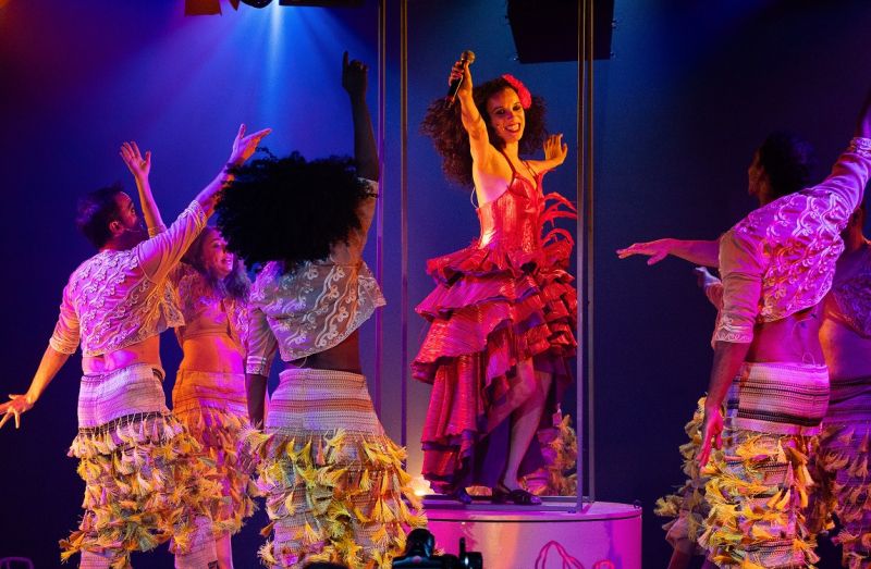 GAL, O MUSICAL Celebrates the Life and Legacy of Brazilian Icon Gal Costa  Image