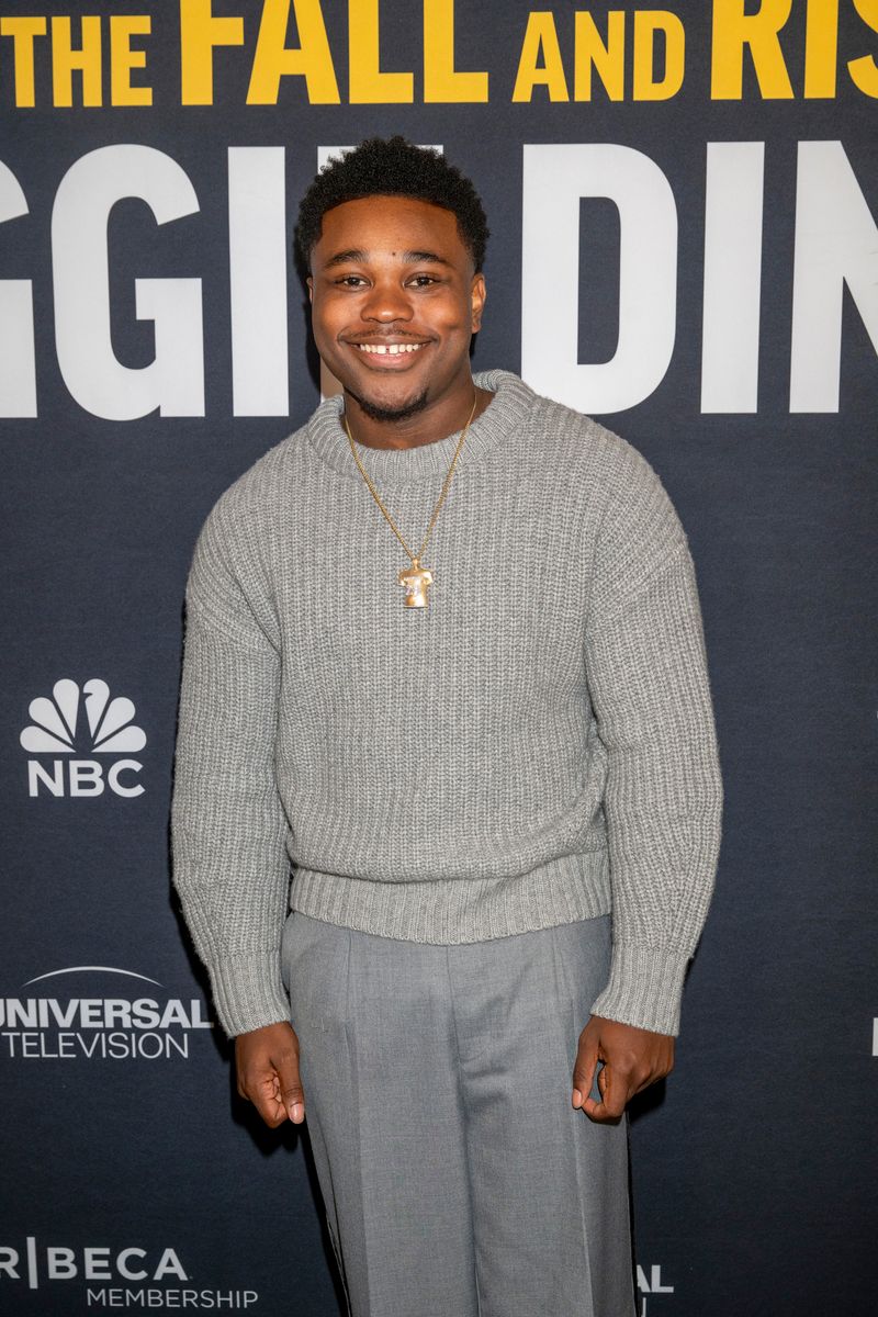 Photos: The Fall and Rise of Reggie Dinkins Cast at Tribeca — photo 4 of 22