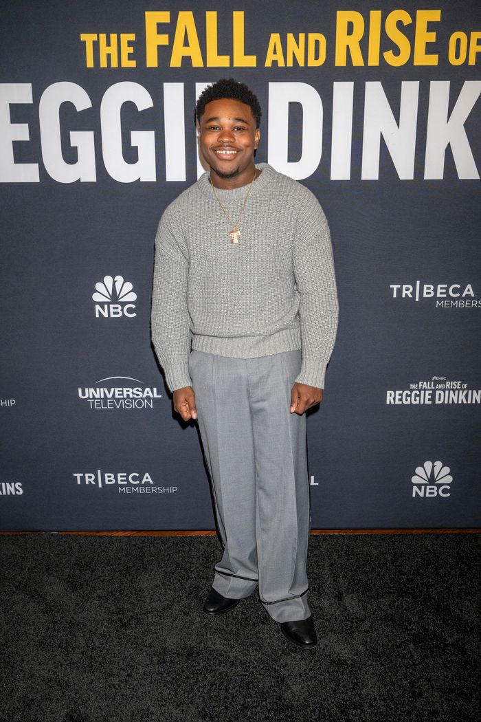 Photos: The Fall and Rise of Reggie Dinkins Cast at Tribeca — photo 3 of 22