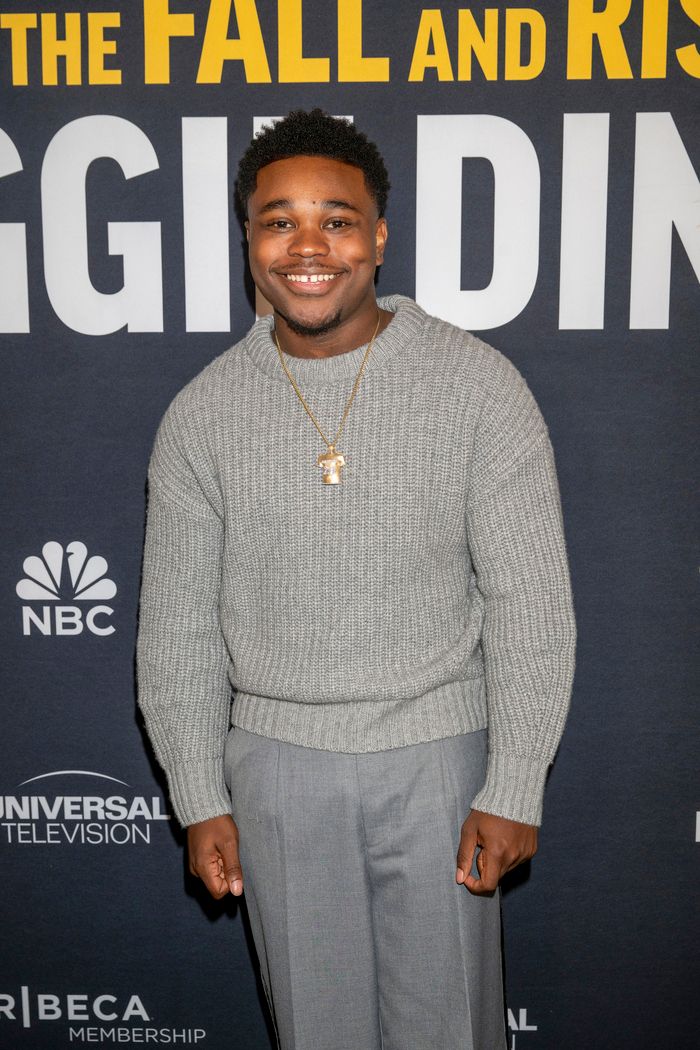 Photos: The Fall and Rise of Reggie Dinkins Cast at Tribeca — photo 4 of 22