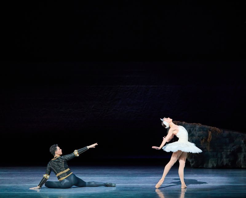 Photos: Nashville Ballet's SWAN LAKE Enthralls at Tennessee Performing Arts Center — photo 4 of 14