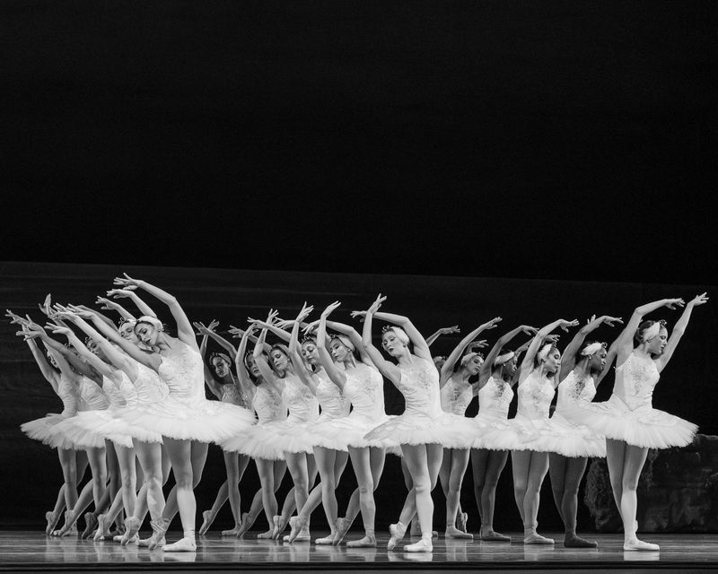 Photos: Nashville Ballet's SWAN LAKE Enthralls at Tennessee Performing Arts Center — photo 5 of 14