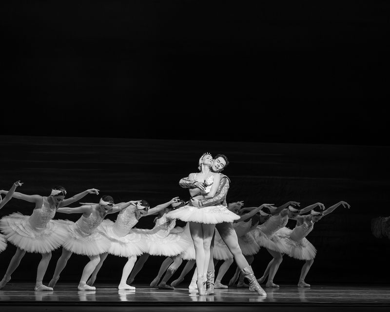 Photos: Nashville Ballet's SWAN LAKE Enthralls at Tennessee Performing Arts Center — photo 7 of 14