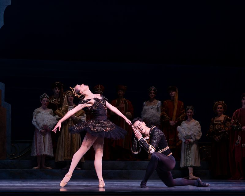 Photos: Nashville Ballet's SWAN LAKE Enthralls at Tennessee Performing Arts Center — photo 14 of 14