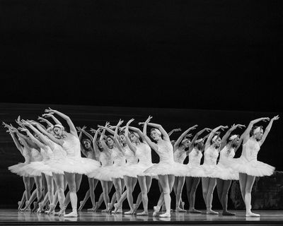 Nashville Ballet: Swan Lake   Photo Credit: Sarah Hartsell Photography   Photo