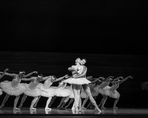 Nashville Ballet: Swan Lake   Photo Credit: Sarah Hartsell Photography   Photo