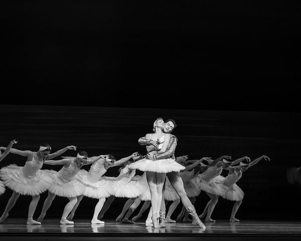 Nashville Ballet: Swan Lake   Photo Credit: Sarah Hartsell Photography   Photo