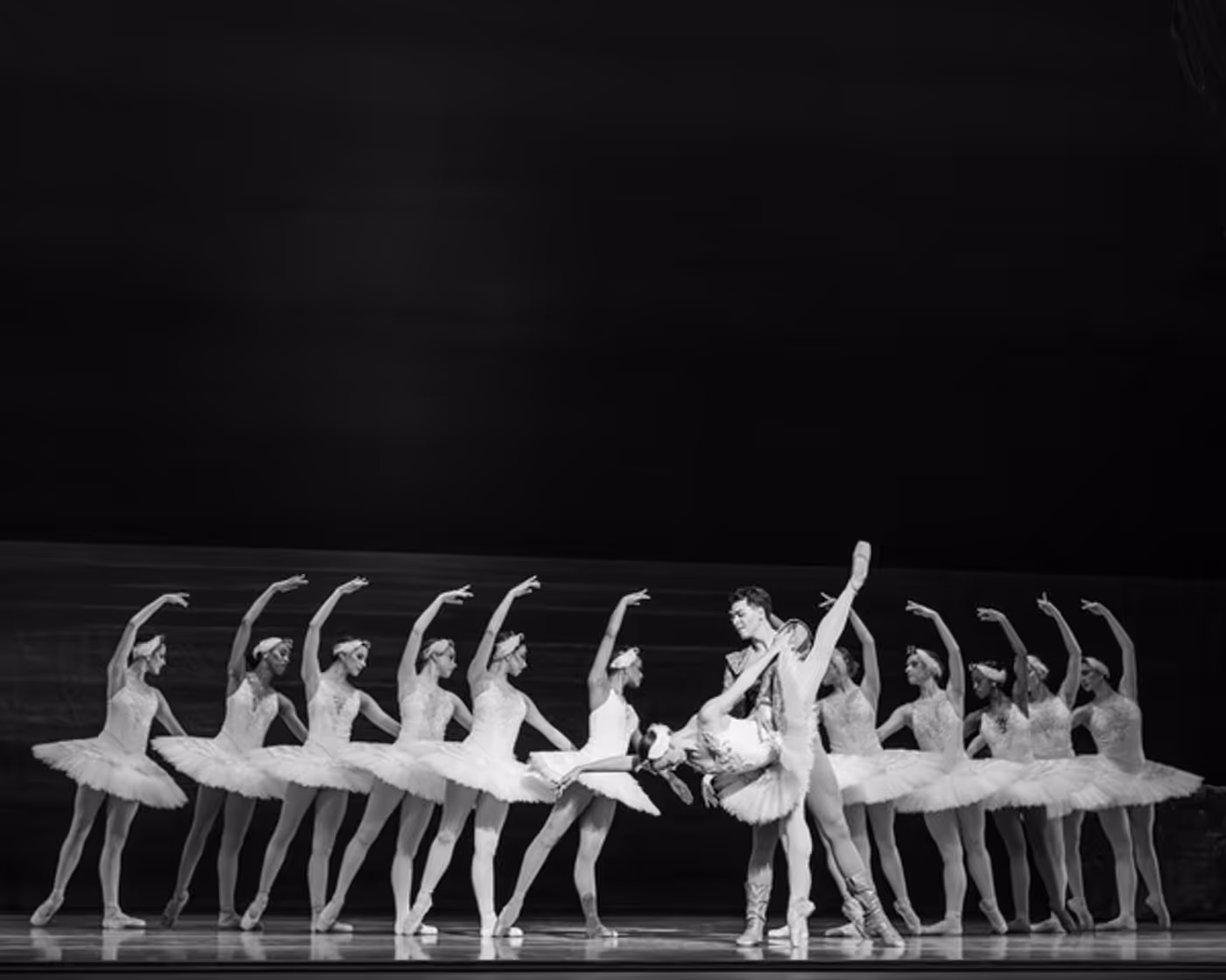 Photos: Nashville Ballet's SWAN LAKE Enthralls at Tennessee Performing Arts Center  Image