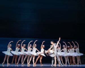Nashville Ballet: Swan Lake   Photo Credit: Sarah Hartsell Photography   Photo