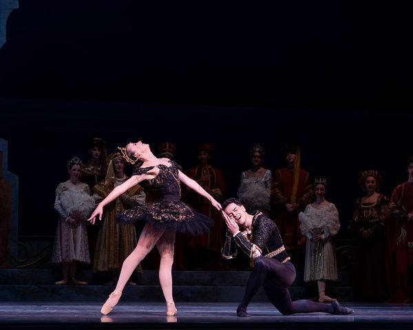 Nashville Ballet: Swan Lake   Photo Credit: Sarah Hartsell Photography     Photo