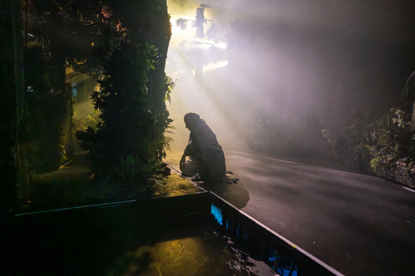 Photos: Behind the Scenes of INTO THE WOODS at the Bridge Theatre  Image