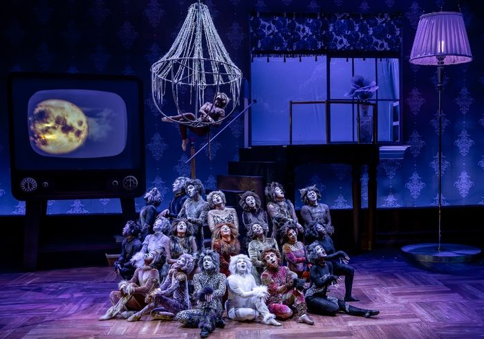 Photos: CATS Comes To Life At Music Theater Works — photo 1 of 13