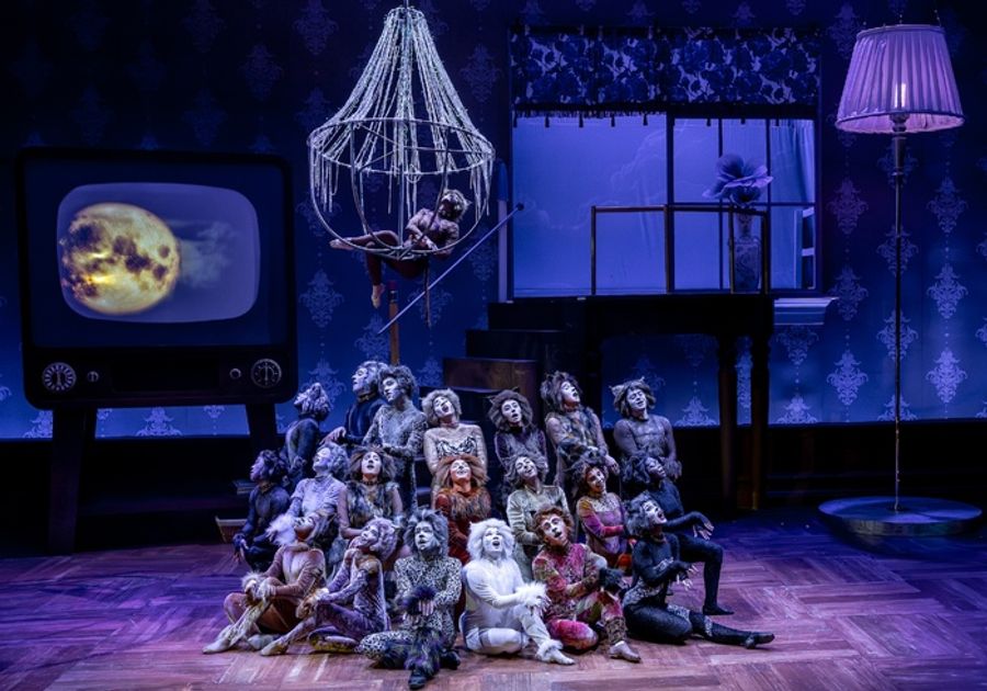 Photos: CATS Comes To Life At Music Theater Works Image