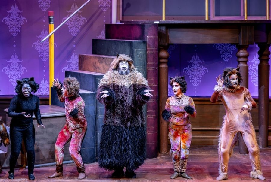 Photos: CATS Comes To Life At Music Theater Works Image