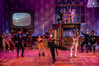 Danny Spagnuolo and the cast of CATS Photo