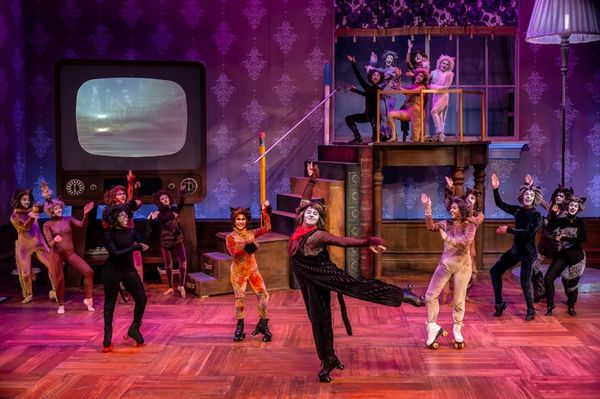 Danny Spagnuolo and the cast of CATS Photo