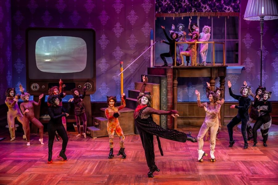 Photos: CATS Comes To Life At Music Theater Works Image