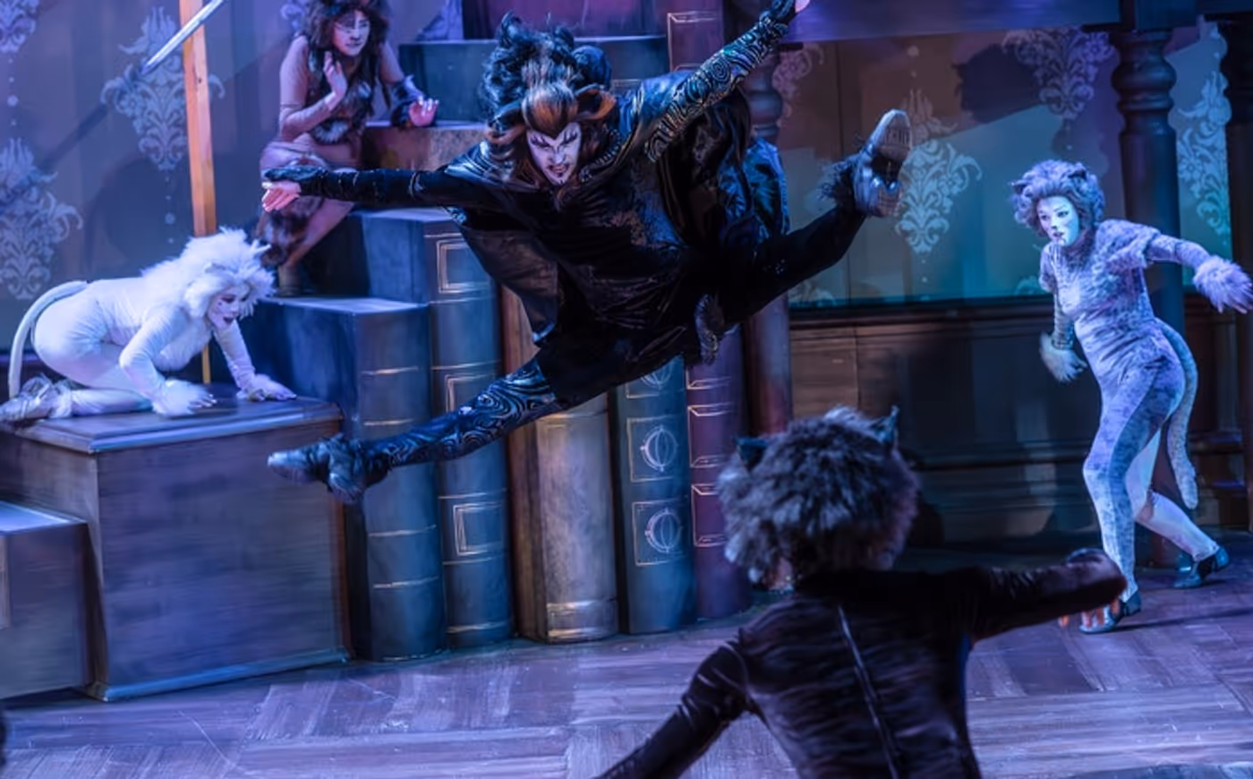 Photos: CATS Comes To Life At Music Theater Works  Image