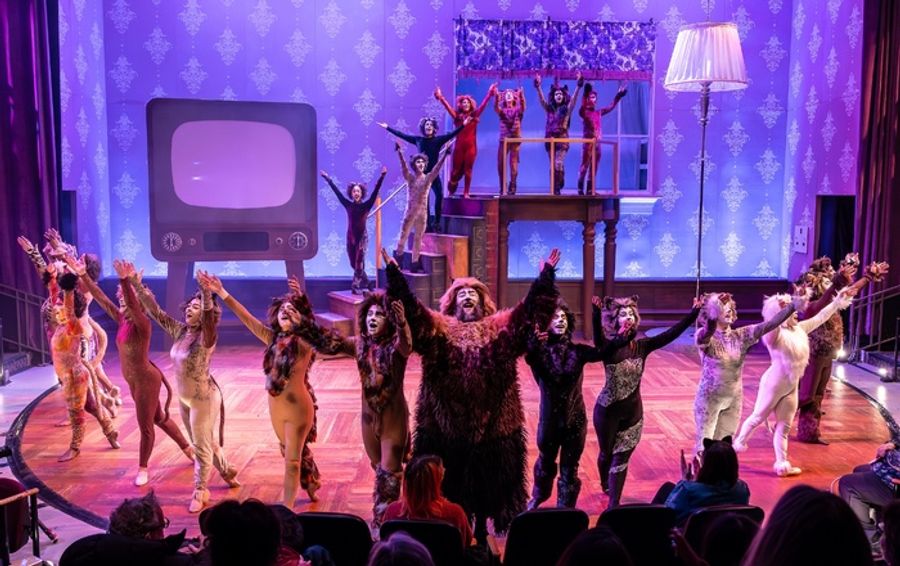 Photos: CATS Comes To Life At Music Theater Works Image