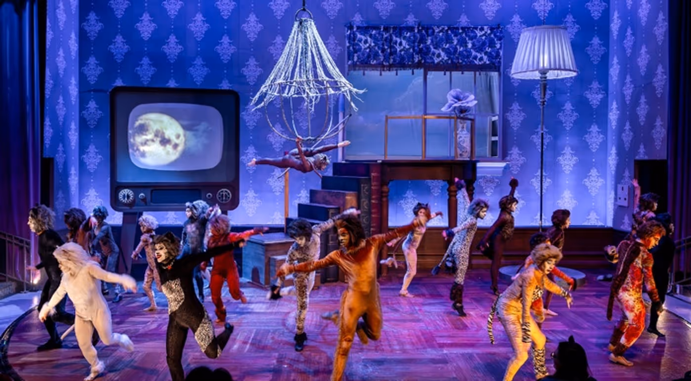 Photos: CATS Comes To Life At Music Theater Works  Image