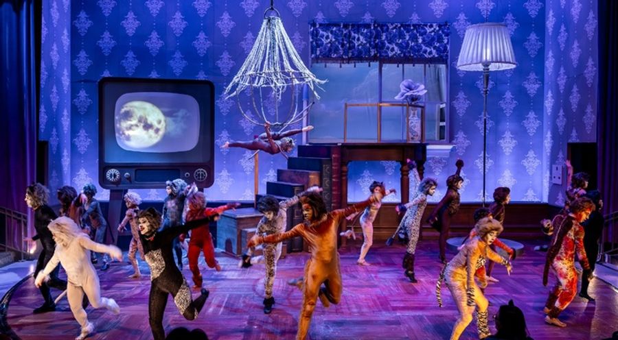 Photos: CATS Comes To Life At Music Theater Works Image