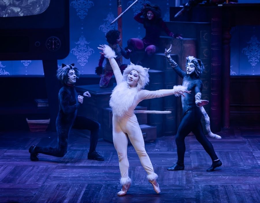 Photos: CATS Comes To Life At Music Theater Works Image