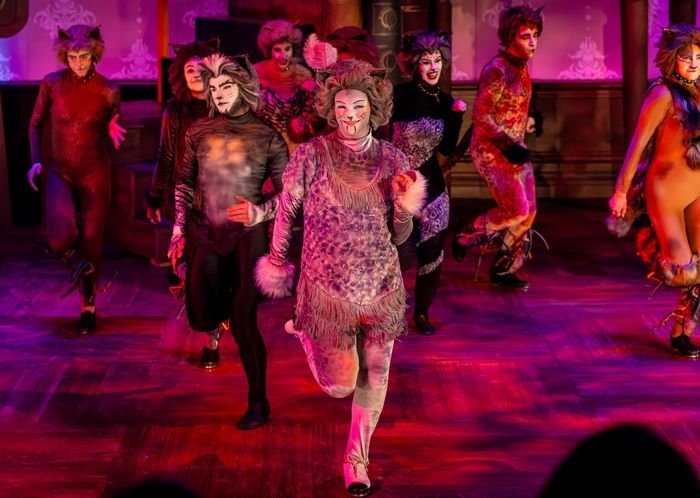 Photos: CATS Comes To Life At Music Theater Works — photo 4 of 13
