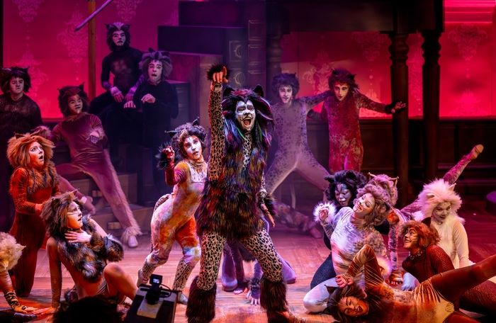 Photos: CATS Comes To Life At Music Theater Works — photo 5 of 13