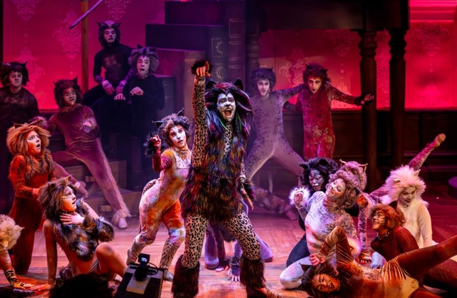 Photos: CATS Comes To Life At Music Theater Works Image