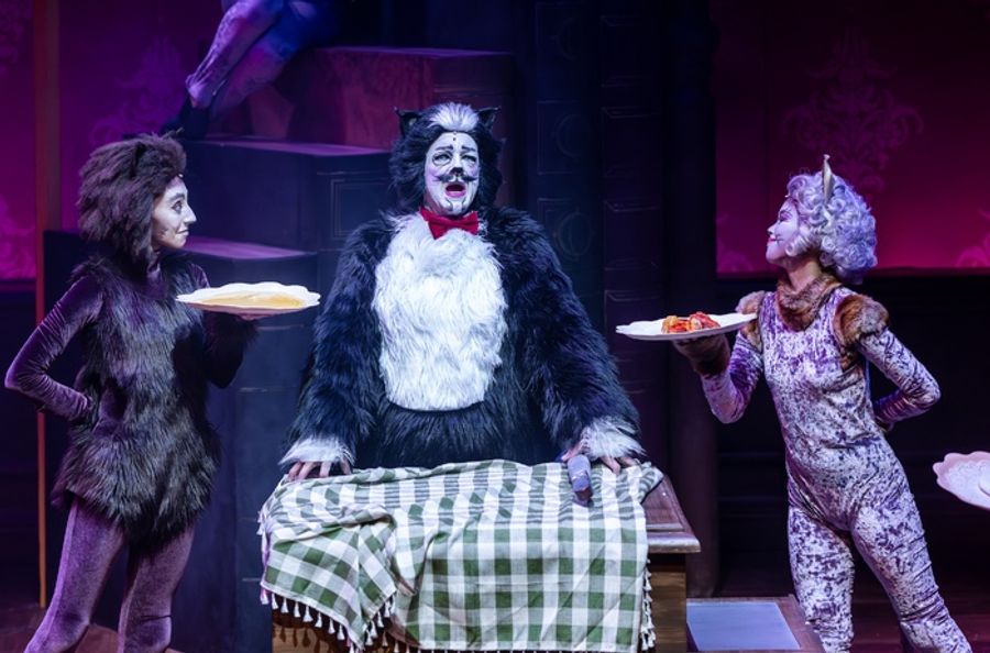 Photos: CATS Comes To Life At Music Theater Works Image