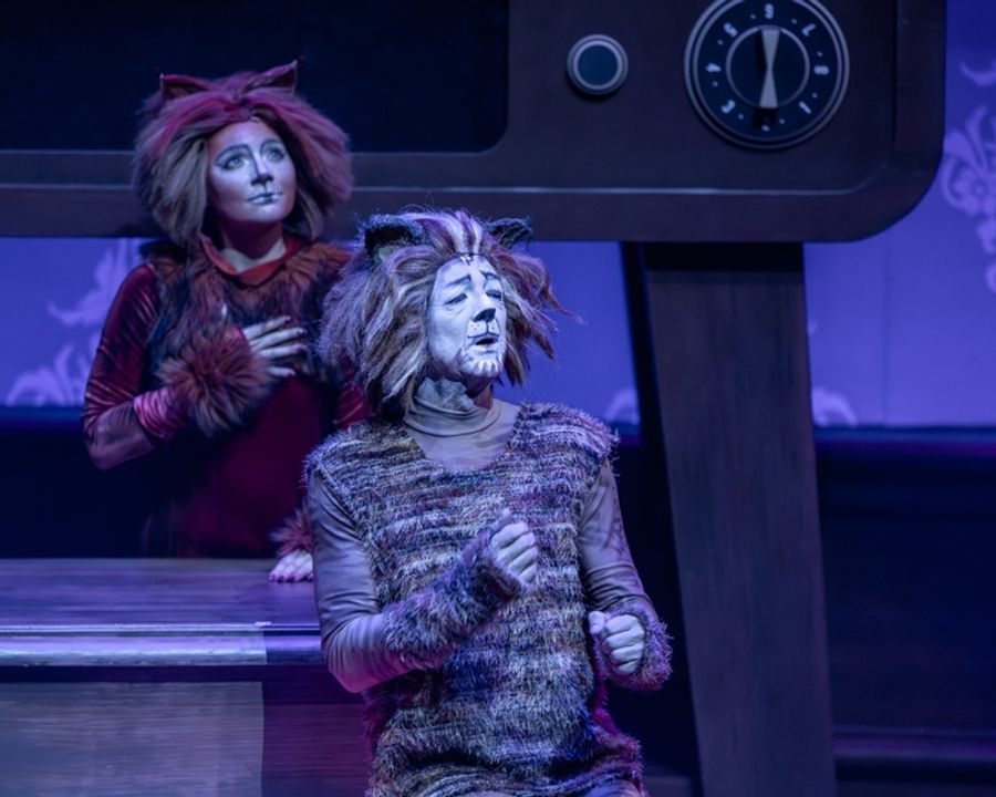 Photos: CATS Comes To Life At Music Theater Works Image