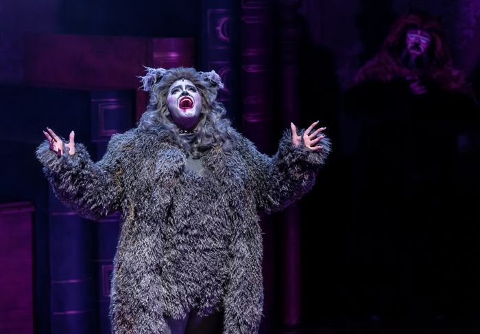 Photos: CATS Comes To Life At Music Theater Works — photo 9 of 13