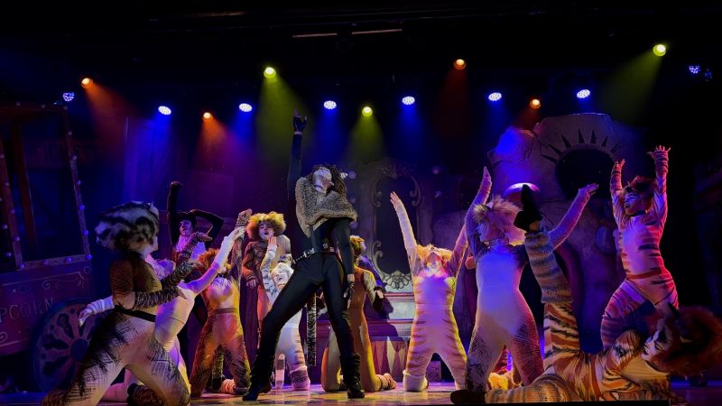 Review: CATS at Broadway Palm Dinner Theatre Image
