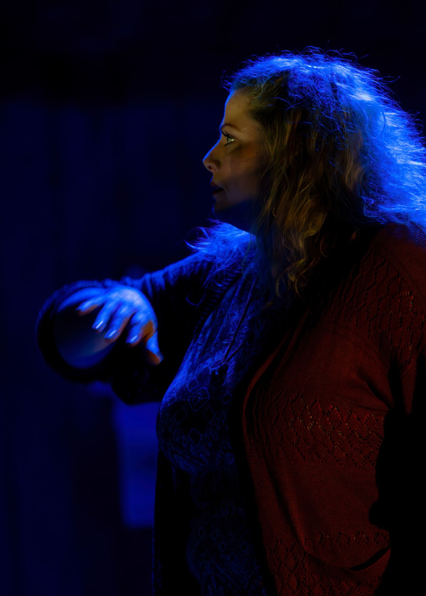 Review: WILD HORSES at Penfold Theatre  Image