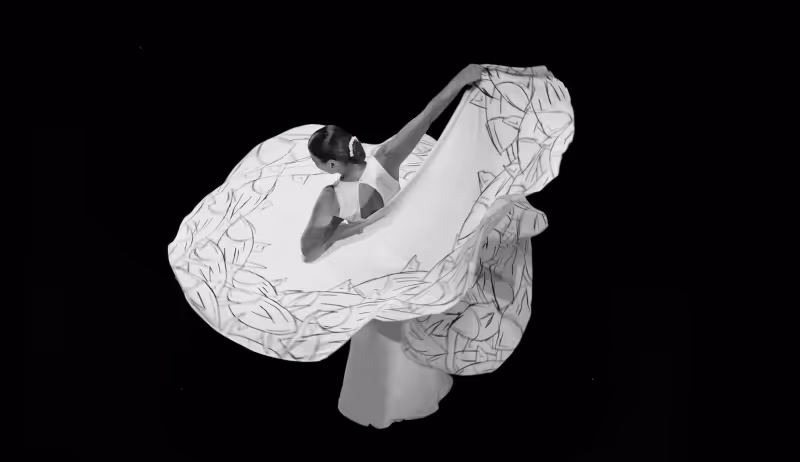 Review: At NY City Flamenco Festival, Sara Baras Soars Image