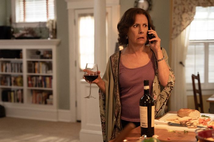 Video/Photos: First Look at Dan Levy, Laurie Metcalf in Netflix Family Comedy BIG MISTAKES Image