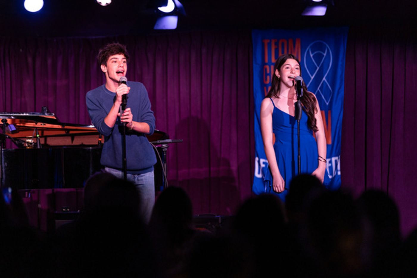 Photos: CURTAINS FOR A CURE Benefit At The Green Room 42  Image