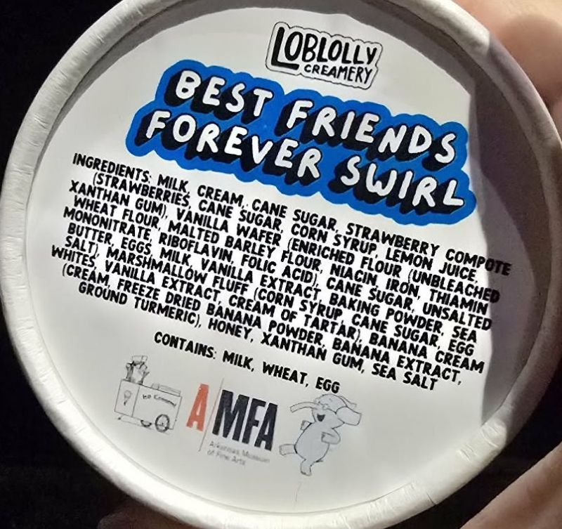 Review: ELEPHANT & PIGGIE'S 'WE ARE IN A PLAY!' at Arkansas Museum Of Fine Arts in Little Rock  Image