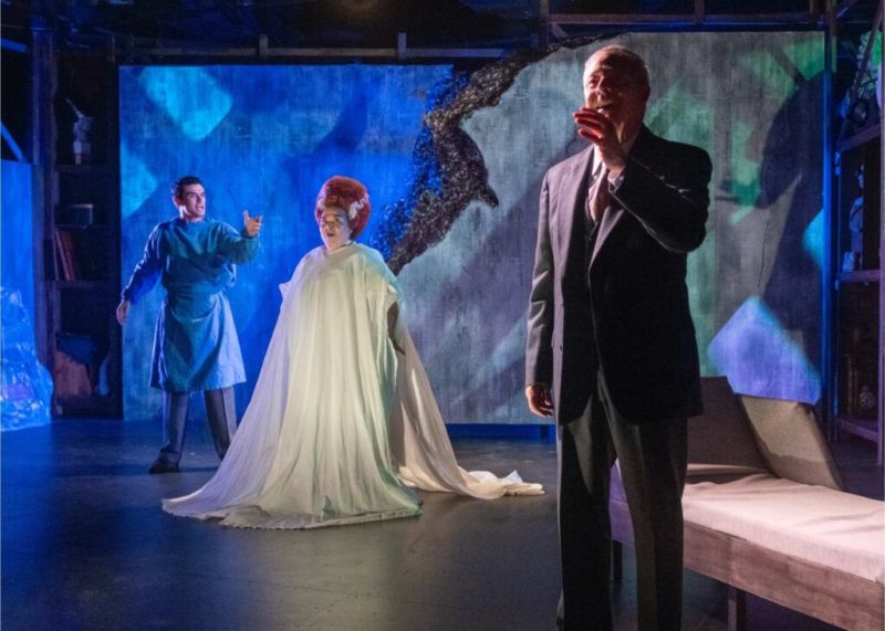 Review: GODS & MONSTERS at New Conservatory Theatre Center Image