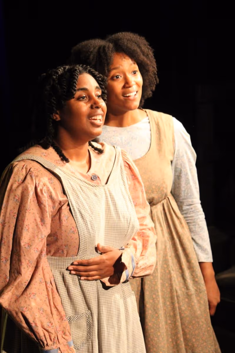 Review: THE COLOR PURPLE by Chromolume Theatre at The Zephyr Image