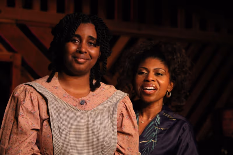 Review: THE COLOR PURPLE by Chromolume Theatre at The Zephyr Image