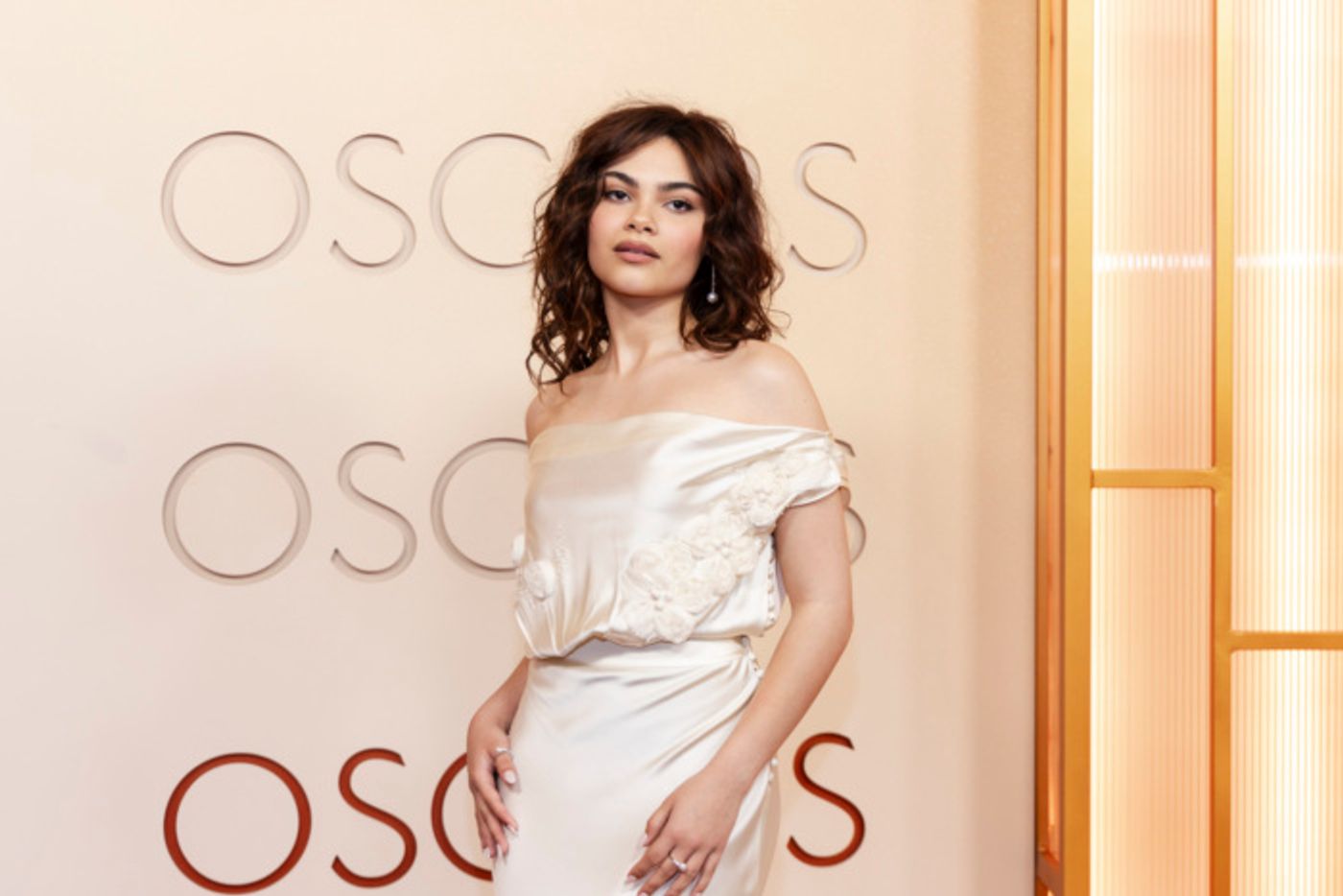 Photos: Josh Groban, Rose Byrne, & More on the 2026 Oscars Red Carpet Photos: Josh Groban, Rose Byrne, & More on the 2026 Oscars Red Carpet Image