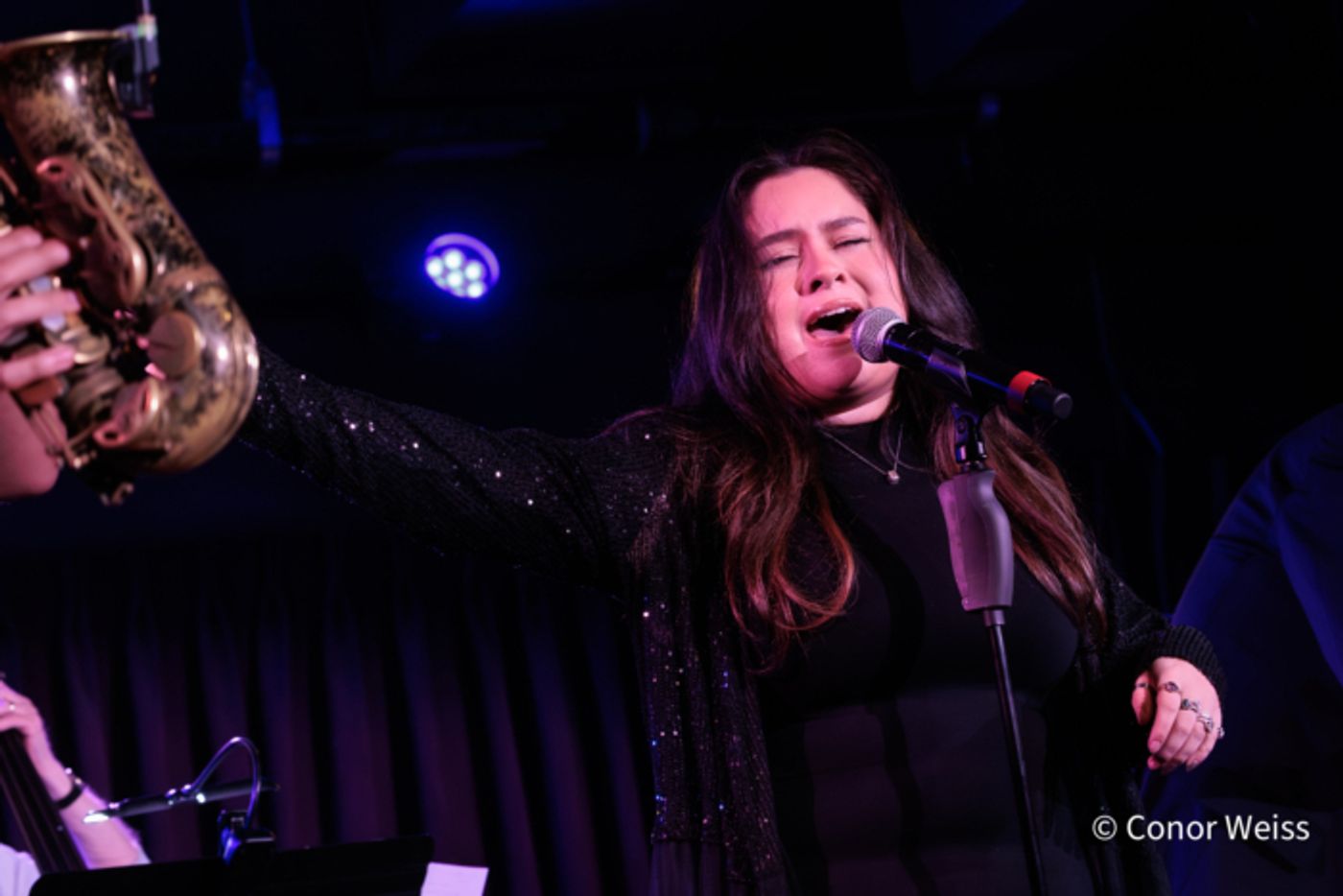 Photos: Hightlights from Susie Mosher's 3/10 THE LINEUP at the Green Room 42  Image