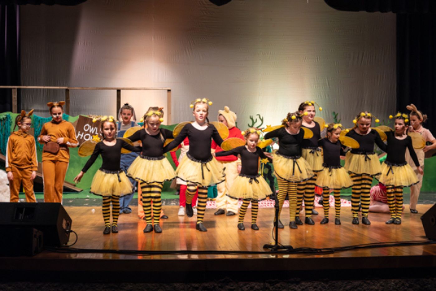 Photos: First look at Sunbury Performing Arts Presents DISNEY WINNIE THE POOH, KIDS  Image