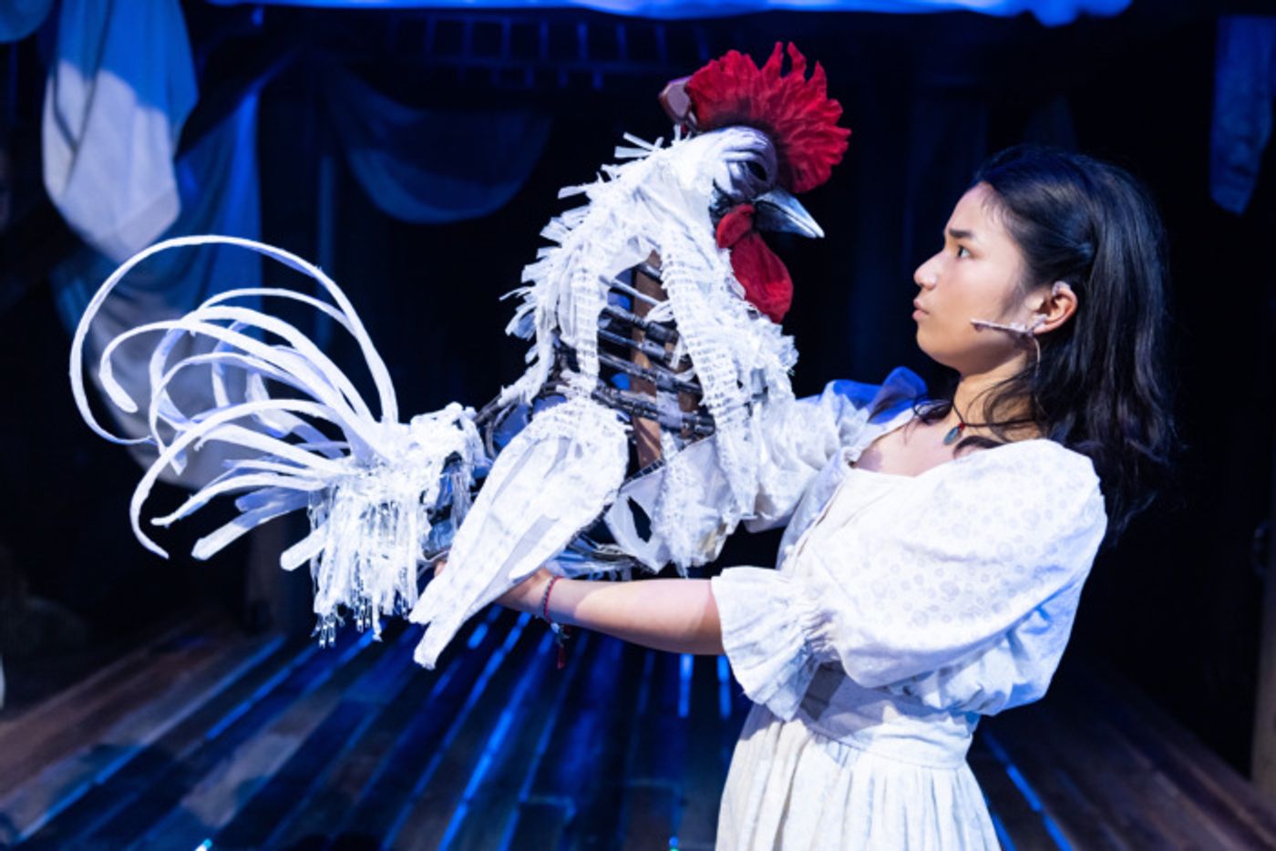 Photos & Video: First Look at WHITE ROOSTER at Lookingglass Theatre  Image
